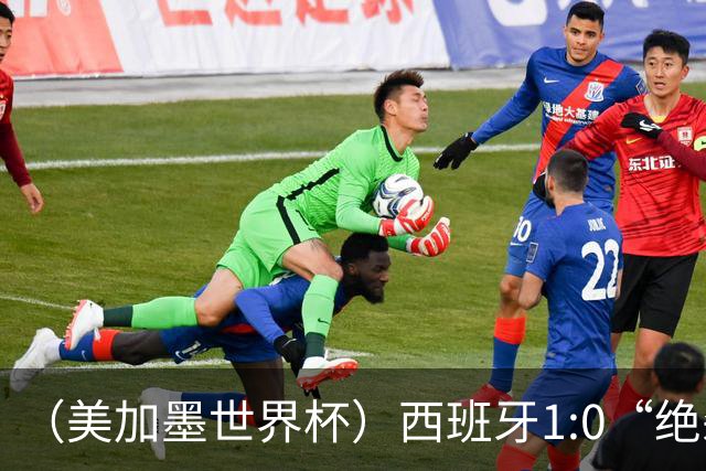 （美加墨世界杯）西班牙1:0“绝杀”葡萄牙 C罗结束世界杯征程